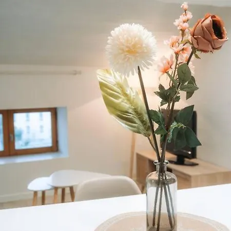 Centre Puy-en-velay Le Puy-en-Velay