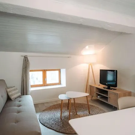 Centre Puy-en-velay Apartment *