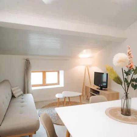 شقة Centre Puy-en-velay Le Puy-en-Velay